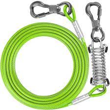 Tie-out Cable with a Shock-Absorbing Spring