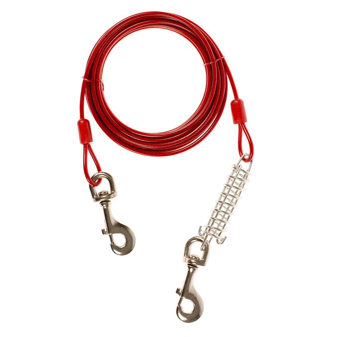 Tie-out Cable with a Shock Spring